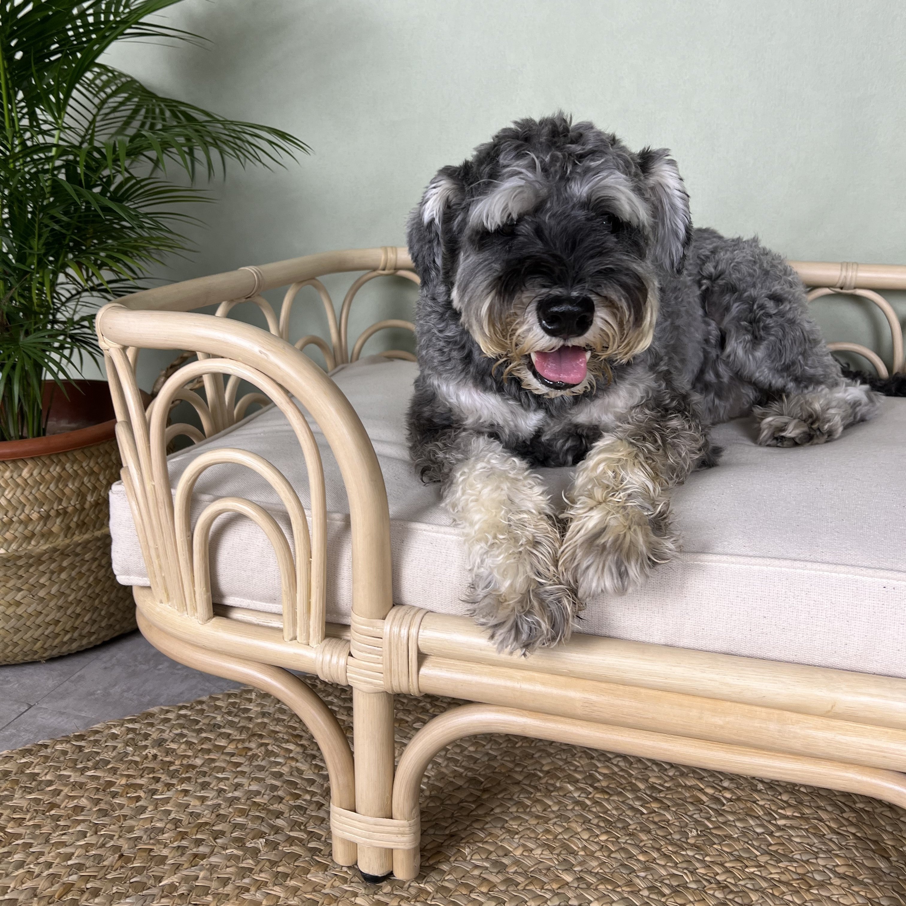 MOMIJI Amber Pet Bed - Medium