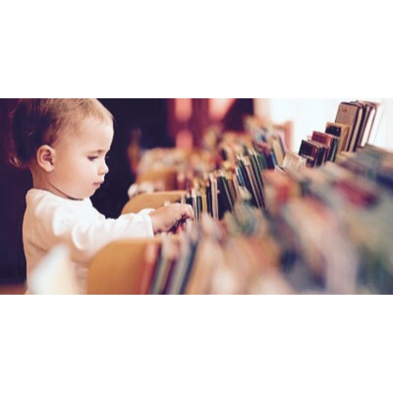 OmieBox Insulated Bento Box V2