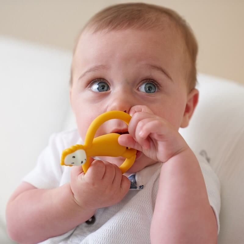 Matchstick Monkey Animal Teether