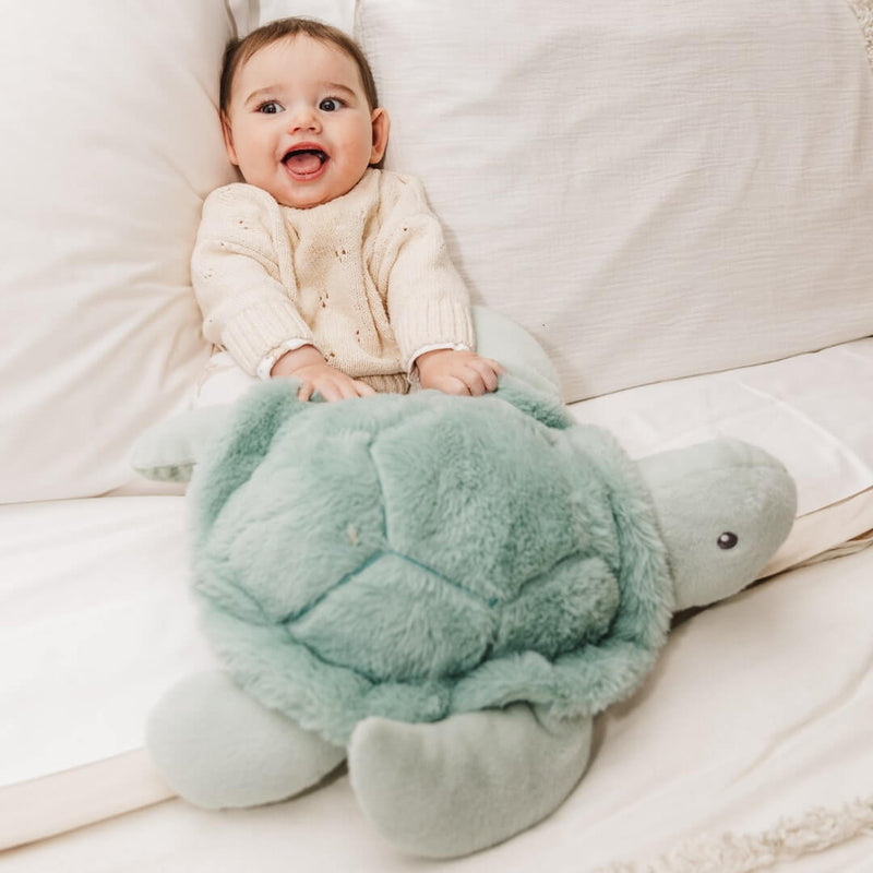 Bubble Plush Toy - Toby The Turtle