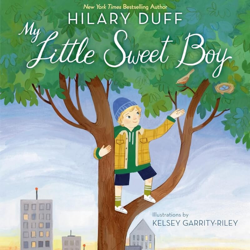 Books My Little Sweet Boy