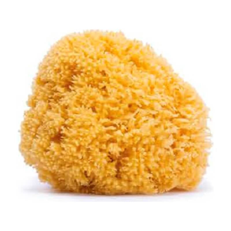 Suavinex Natural Sponge
