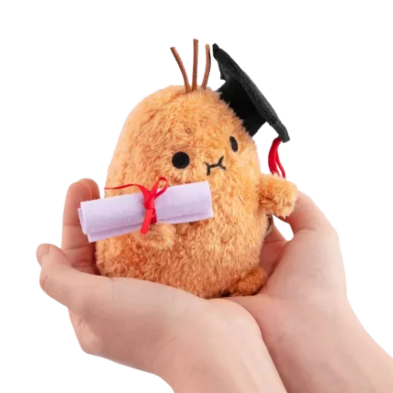 Noodoll Graduation Ricespud Mini Sitting Plush Toy