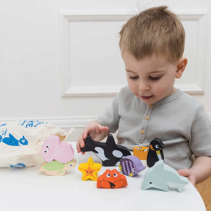 Le Toy Van Ocean Stacker