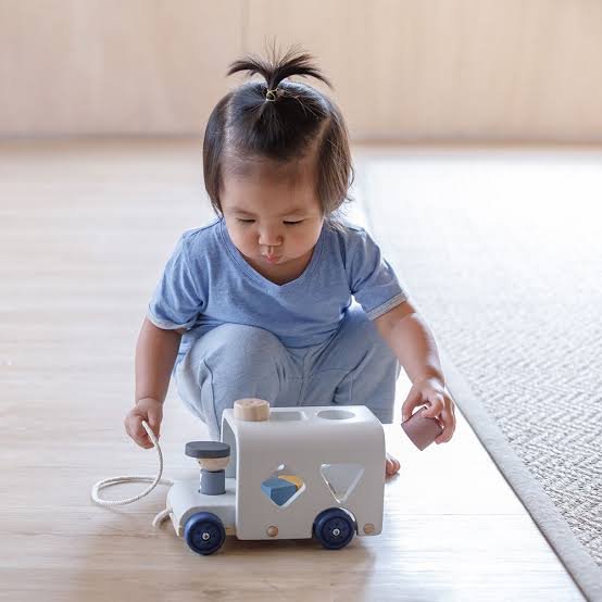PLANTOYS Sorting Bus - Orchard