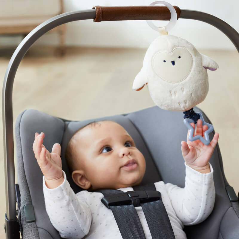 Skip Hop Celestial Dreams Jitter Owl