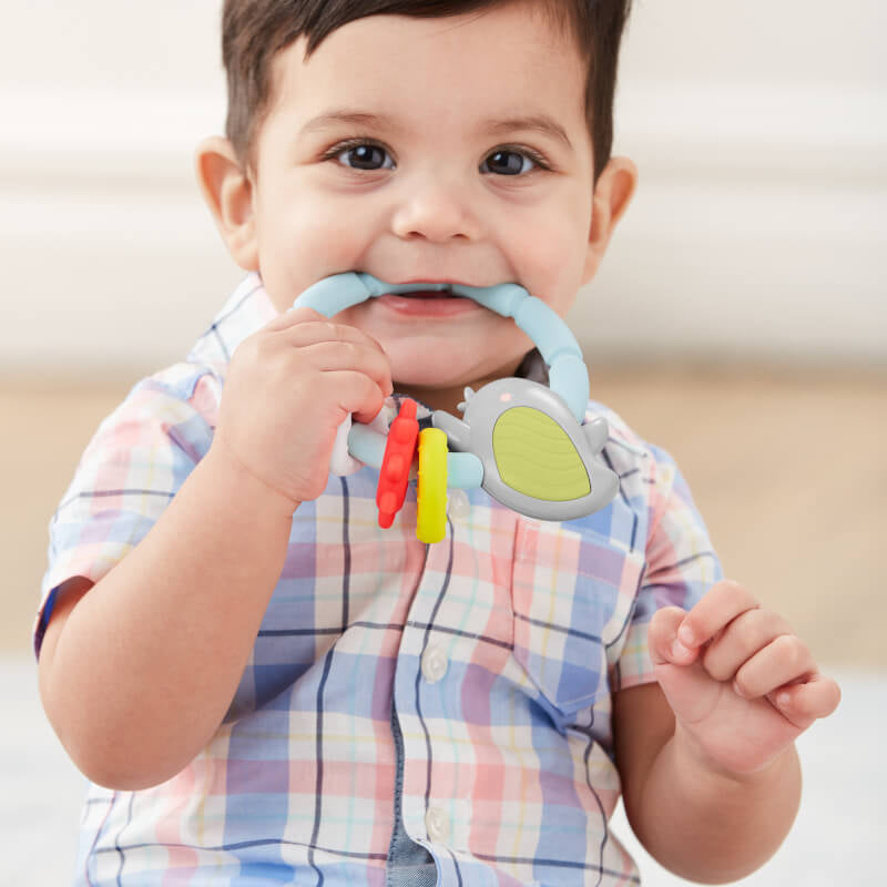 Skip Hop Silver Lining Cloud Teether & Play Toy - Bird