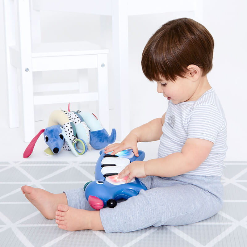 Skip Hop Vibrant Village Light-Up Dog Piano