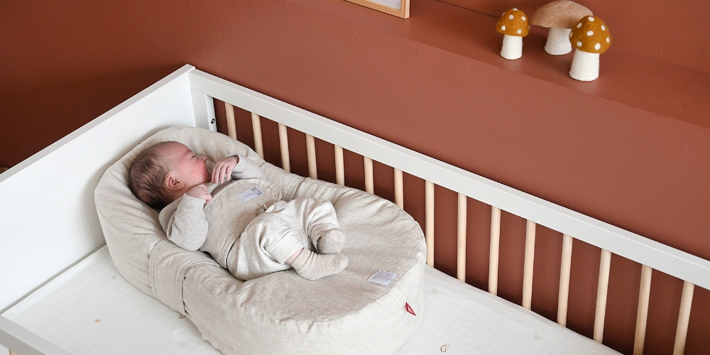 Why Won’t My Baby Sleep? Newborn Sleep Struggles & Comfort, Answered