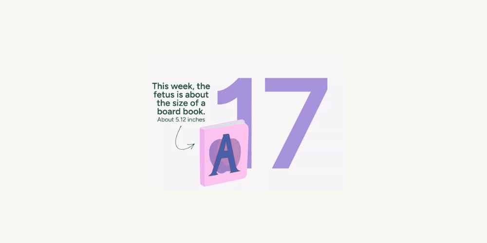 Pregnancy Week by Week: Week 17