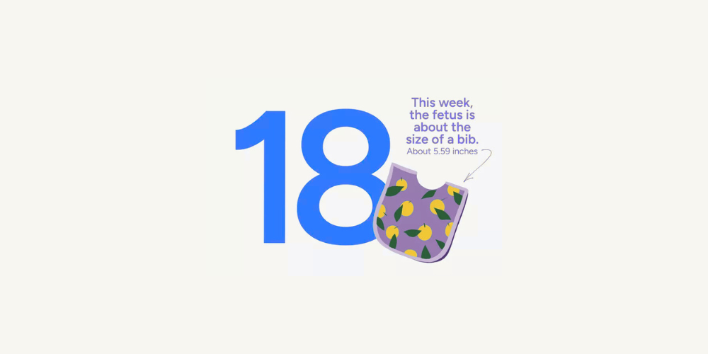 Pregnancy Week by Week: Week 18