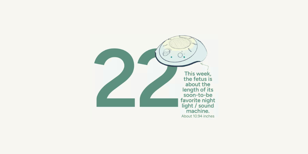 Pregnancy Week by Week: Week 22