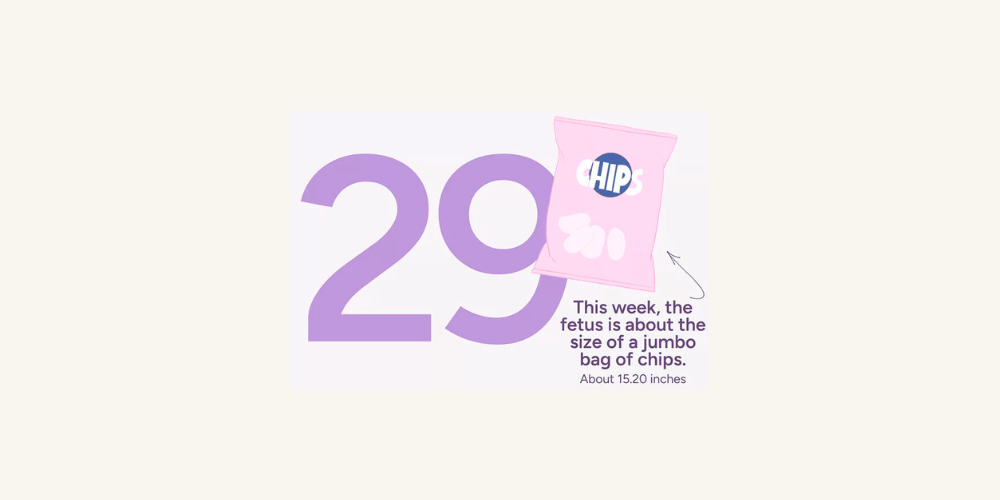 Pregnancy Week by Week: Week 29
