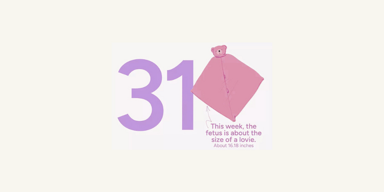 Pregnancy Week by Week: Week 31 – Baby Central Singapore