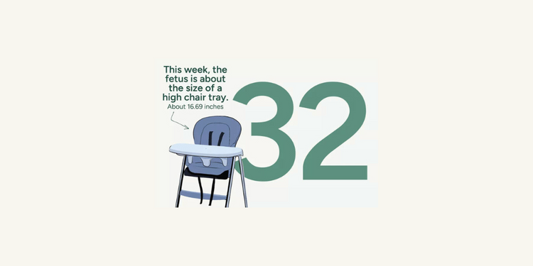Pregnancy Week by Week: Week 32 – Baby Central Singapore