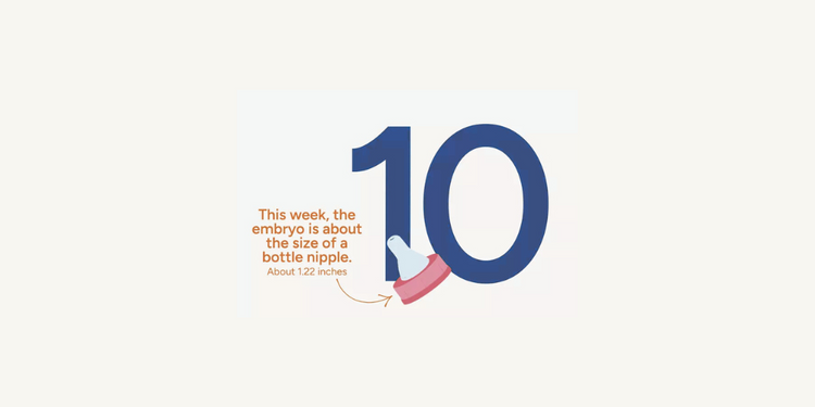 Pregnancy Week by Week: Week 10 – Baby Central Singapore