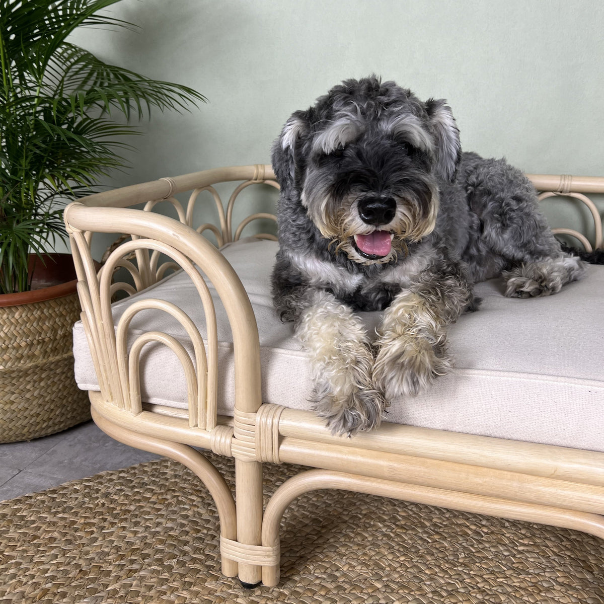 MOMIJI Amber Pet Bed - Medium