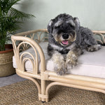 MOMIJI Amber Pet Bed - Medium