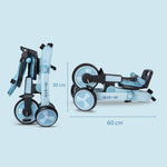 Micro Tricycle