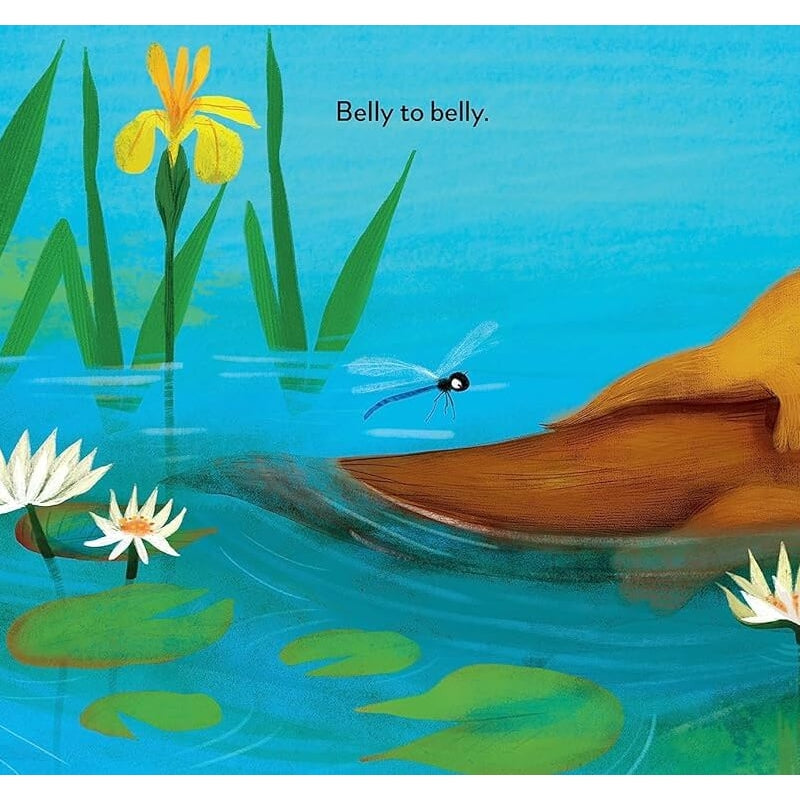 Books Animal Snuggles