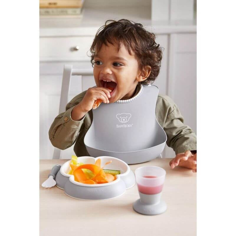 BabyBjorn Baby Bib - 2 Pack