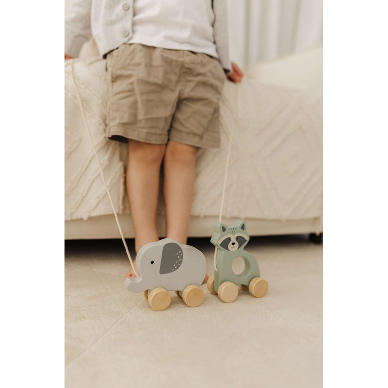 Bubble  Wooden Elephant Pull Along Toy