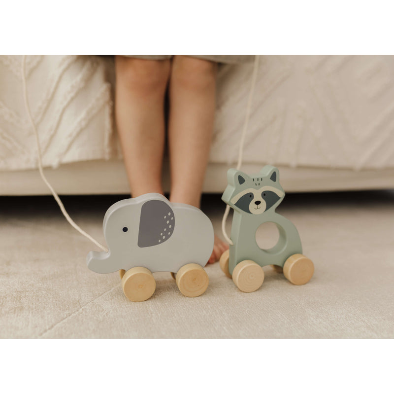 Bubble  Wooden Raccoon Pull Along Toy