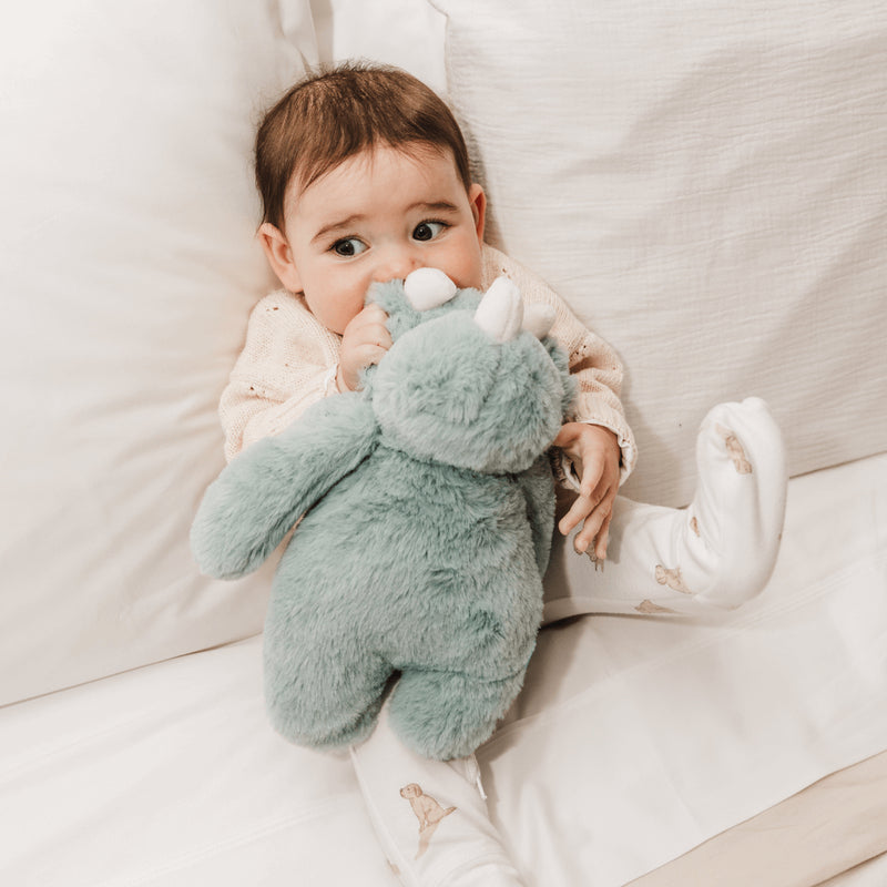 Bubble Flat Plush - Beau the Dinosaur