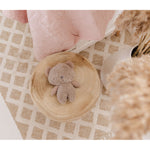 Bubble Plush Toy - Beanie the Bear