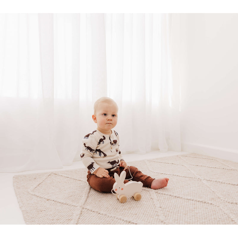 Bubble Wooden Pull Along - Rabbit