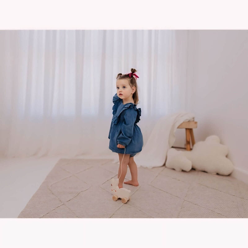 Bubble Wooden Pull Along - Rabbit