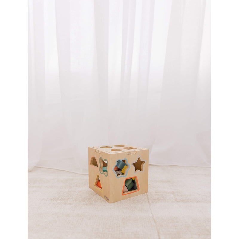 Bubble Wooden Shape Sorting Cube