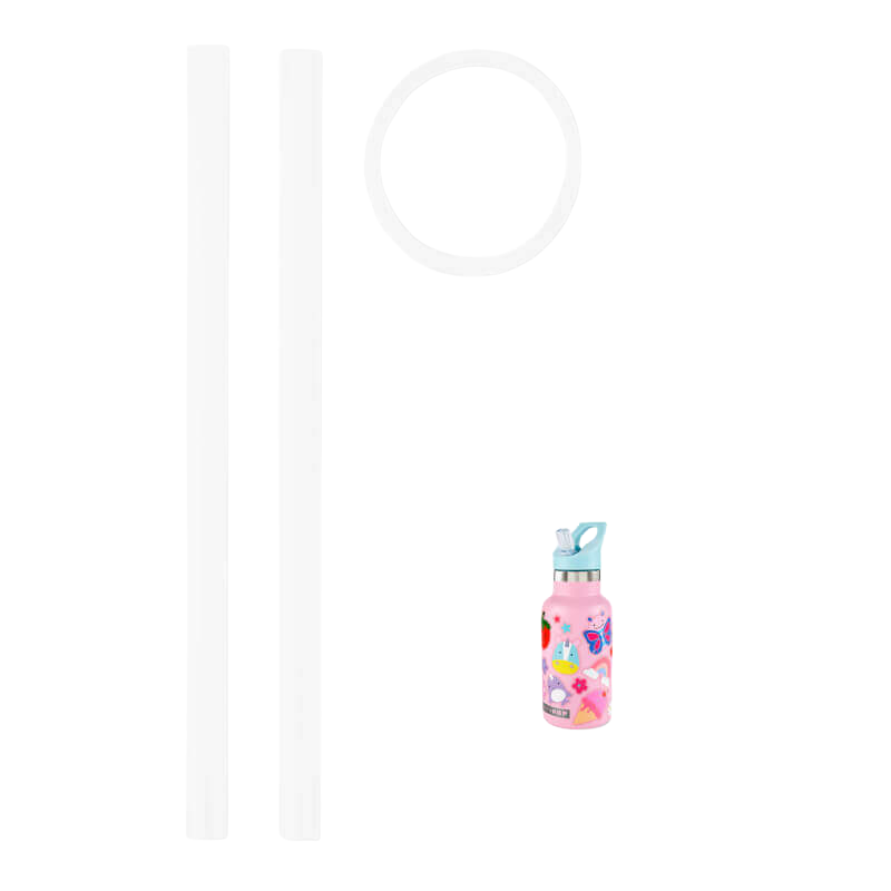 Skip Hop Canteen Bottles Extra Straws 2pk