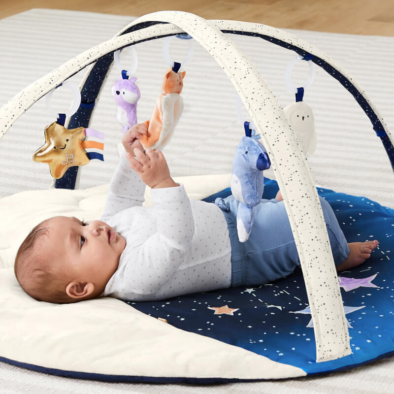 Skip Hop Celestial Dreams Activity Gym
