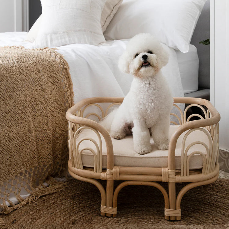 MOMIJI Amber Pet Bed - Small