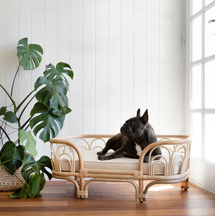 MOMIJI Amber Pet Bed - Medium