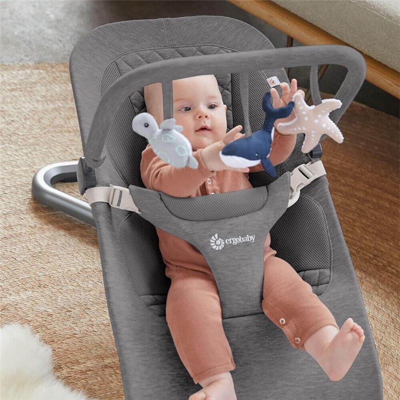 Ergobaby Evolve 3-in-1 Bouncer