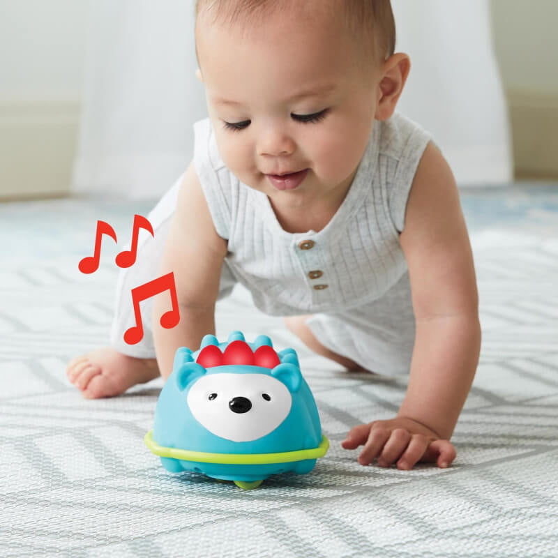 Skip Hop Explore & More Hello Hedgehog Crawl Toy