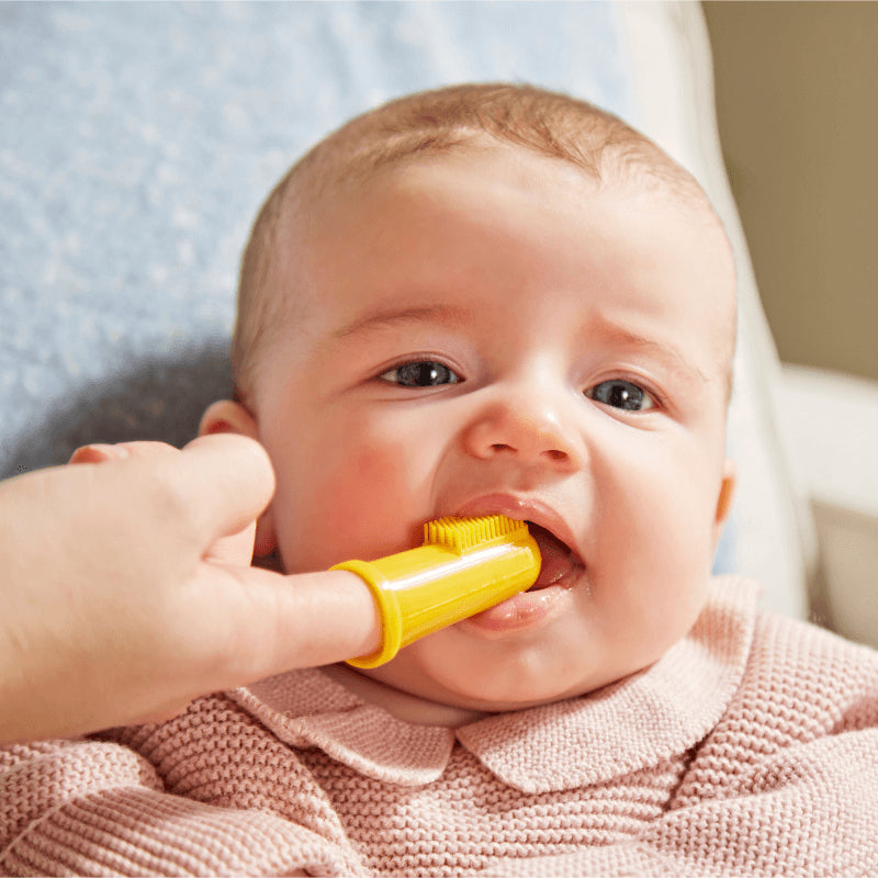 Matchstick Monkey Finger Toothbrush With Portable Case - Lion & Giraffe