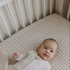 Biscuit Gingham