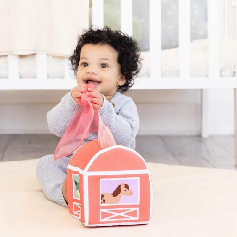 Pearhead Learning Kit - 6-12 Months