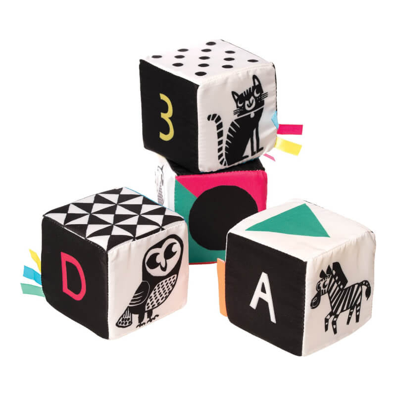 Manhattan Toy Wimmer Ferguson Mind Cubes