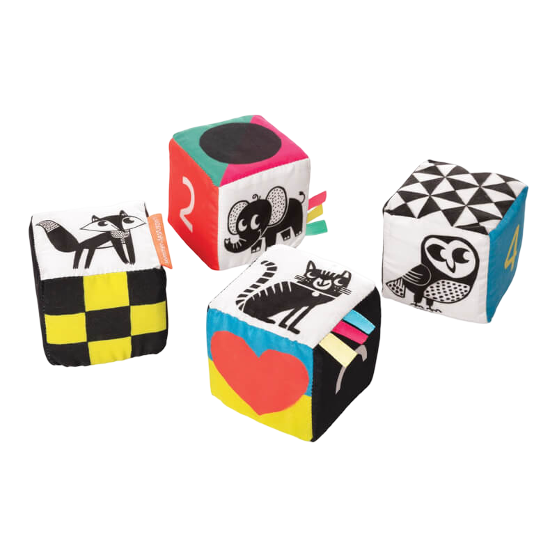 Manhattan Toy Wimmer Ferguson Mind Cubes