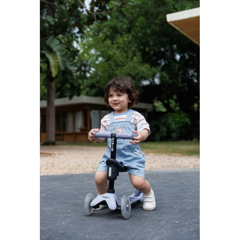 Micro Scooter Mini2Grow Deluxe LED 2.0