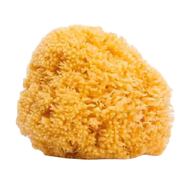 Suavinex Natural Sponge