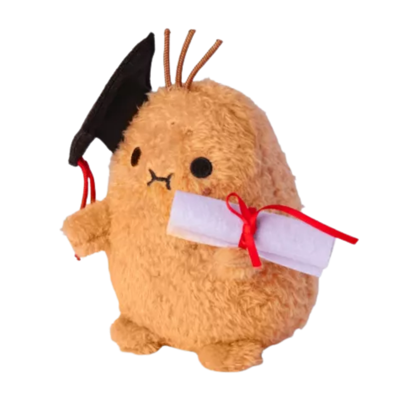 Noodoll Graduation Ricespud Mini Sitting Plush Toy