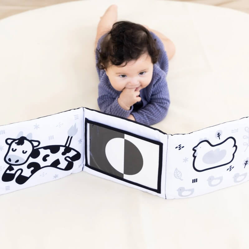 Pearhead Pearhead Learning Kit - 0-6 Months