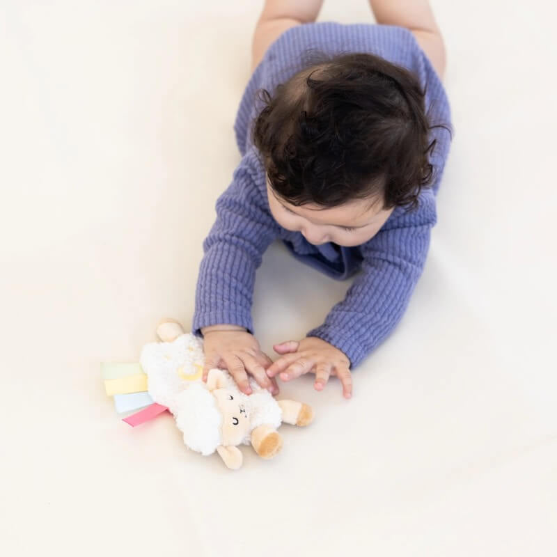 Pearhead Pearhead Learning Kit - 0-6 Months