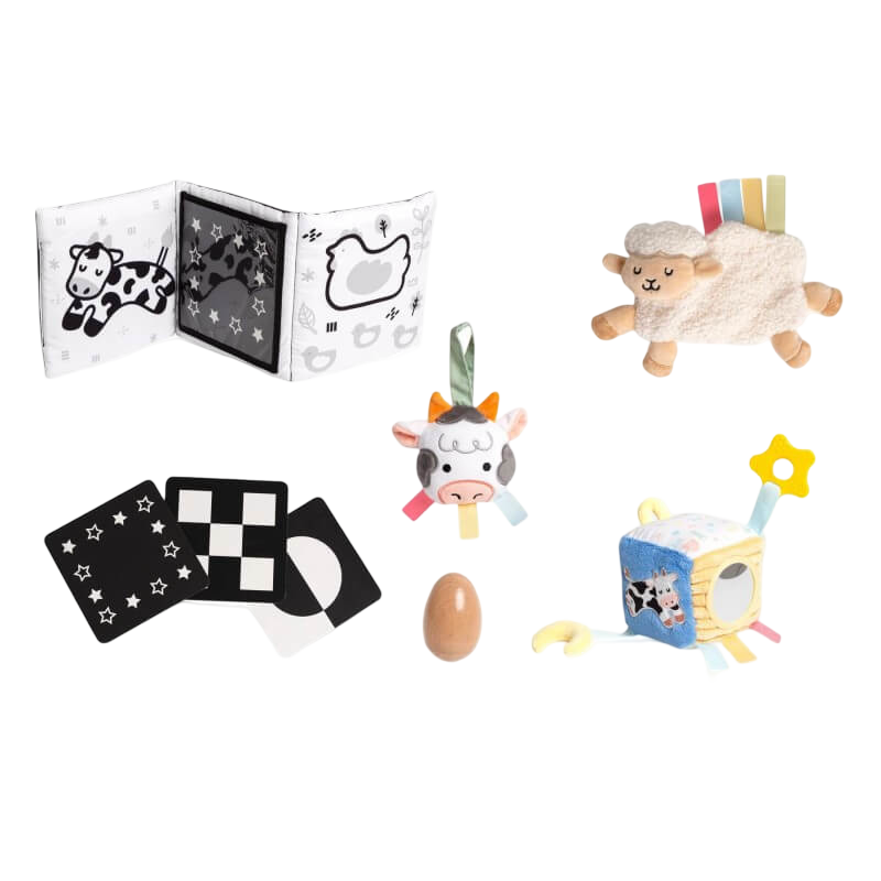 Pearhead Pearhead Learning Kit - 0-6 Months