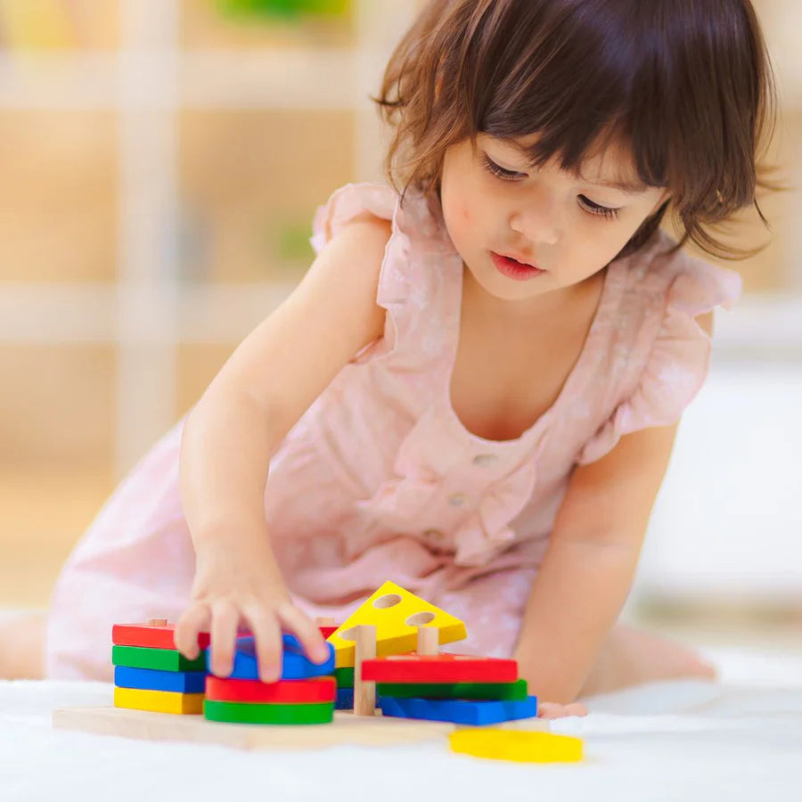 PLANTOYS Geometric Sorting Board